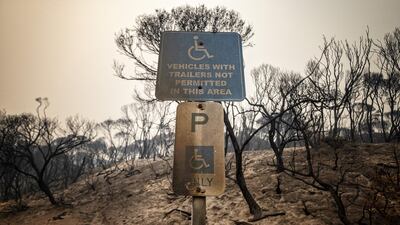 A disabled parking sign is seen at a parking lot in front of burnt bush in Mallacoota. Getty Images