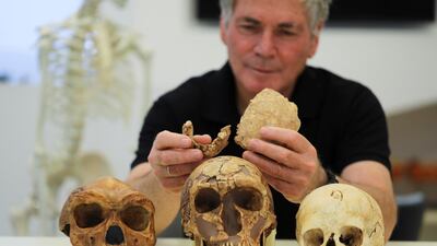 Tel Aviv University Professor Israel Hershkovitz holds what scientists say are two pieces of fossilised bone of a previously unknown kind of early human discovered at the Nesher Ramla site in central Israel. Reuters