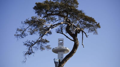 The Olympics ski jumping tower is seen behind a tree ahead of the Pyeongchang 2018 Winter Olympic Games. David Gannon / AFP