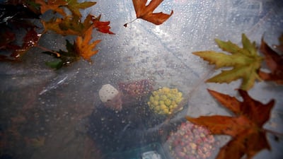 A vendor sells apples under a plastic rain sheet. Solar is helping the poorest farmers in Nepal. Reuters