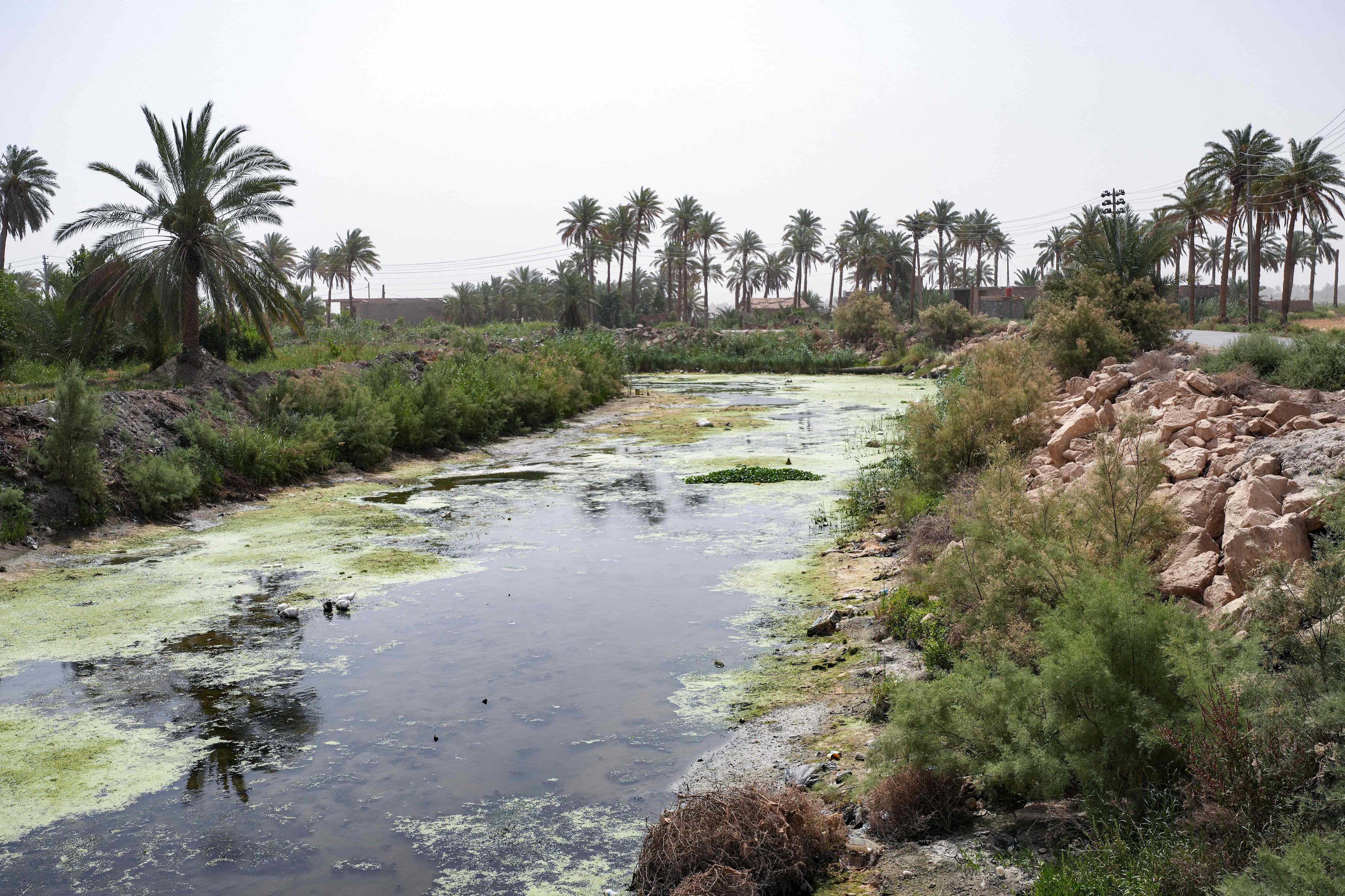 An almost dried-up stream flows between fields in Mishkhab, in Najaf province