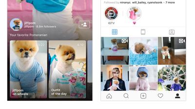 You'll now be able to watch longform videos from your favourite social media pet celebrities, like @JiffPom. Courtesy Instagram