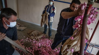 Roses being loaded into a distiller at a cosmetics production facility in Turkey. Getty Images