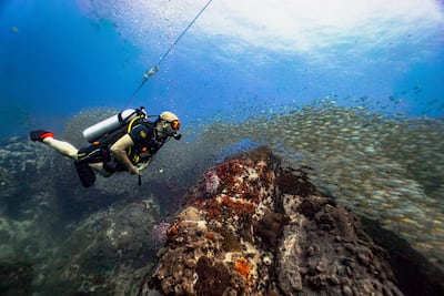 Diving off Koh Tao. Photo: Instagram / @fred.the.lens