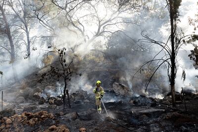 A firefighter douses a fire that broke out after a rocket strike fired from Lebanon on July 4, 2024 in northern Israel. Getty Images