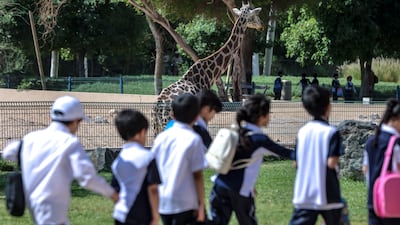 Al Ain Zoo. Victor Besa / The National