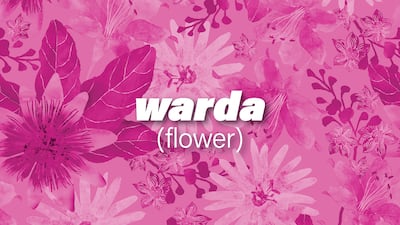 the Arabic word is the subject of many works of art or is used as a motif in literature.