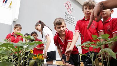 Third grade pupils learn about plants at the Swiss Scientific International School’s organic garden. Pawan Singh / The National