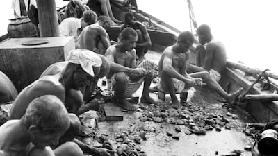 Pearl diving was tough, backbreaking work. Here we see workers open oysters to check for pearls on the deck of a boat in Bahrain, 1955. By this time, the natural pearl trade had collapsed due to the discovery of cultured pearls. Photo: Getty Images
