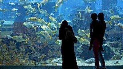 Atlantis Hotel is forecasting occupancy levels more than 90 per cent for this month and an occupancy percentage in the mid 80s for July and August. Above, visitors in the Lost Chambers in the Atlantis. Jeff Topping / The National