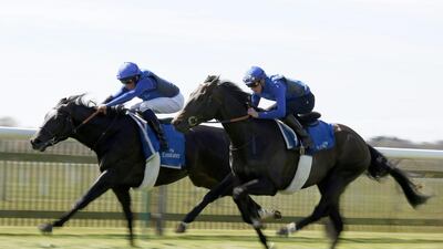 Emotionless, left, will make his dirt debut at Meydan on the opening night of Dubai World Cup Carnival. Alan Crowhurst / Getty Images