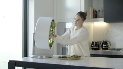 Rotofarm by Bace is an at-home rotating hydroponics system powered by an LED light.
