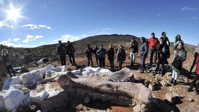 This is “the most complete discovery of this type of giant dinosaur in the world, a momentous discovery for science,” cheered Jose Luis Carballido, one of eight scientists who participated in the research. Daniel Feldman / Reuters