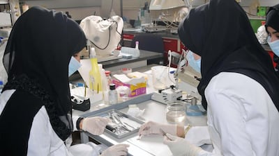 UAE University invested in its research and science programmes and has ranked as the country's top university in the Times Higher Education World Ranking. Courtesy UAEU