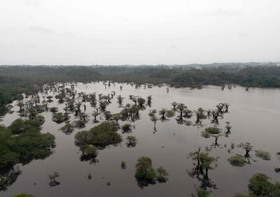 Damage to the world's natural wetlands, forests and soils is hastening water shortages, experts warn. AFP