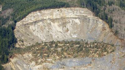 The cliff that collapsed into a massive mudslide is seen covered with felled trees in Oso. Recovery teams struggling through thick mud up to their armpits and heavy downpours at the site of the devastating landslide in Washington state are facing yet another challenge - an unseen and potentially dangerous stew of toxic contaminants. Rick Wilking / Reuters