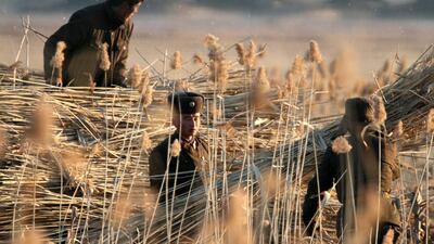 North Korean soldiers work in a field in Sinuiju, North Korea. Chinatopix via AP