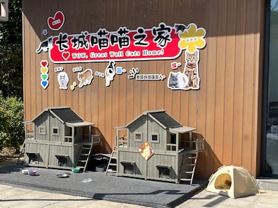 Cat homes and food bowls for strays near the Great Wall. Evelyn Lau / The National