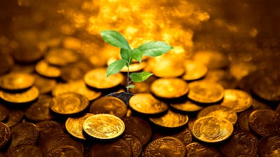 Getty/ Nick Donaldson