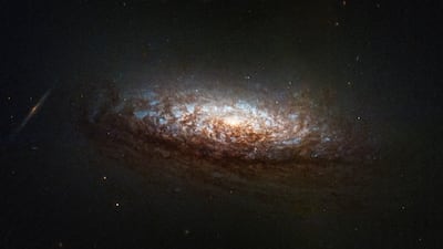 The Hubble Space Telescope has recorded images the galaxy NGC 1546, located in the constellation Dorado. Photo: Hubble / Nasa