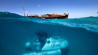 The experience will only be available for a limited period of time. Tourism and Events Queensland