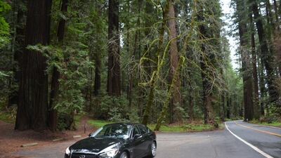 Driving in the US is often a relaxing experience. Rosemary Behan