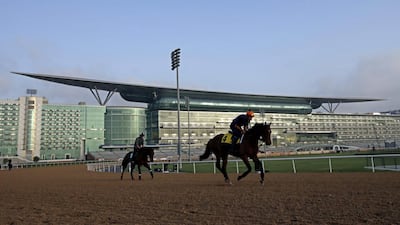 A work rider shown with Cladocera on Tuesday at Meydan racecourse ahead of Saturday's 20th Dubai World Cup night. Cladocera will race in the Dubai Turf. Ali Haider / EPA