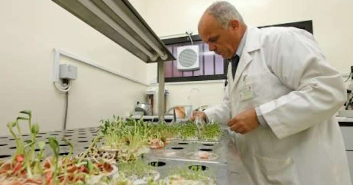 Sharshabeel Lab Sharjah lab at the front line of biosecurity | The National