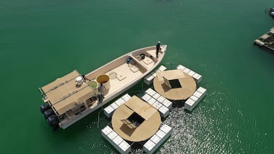 Two three-metre cages containing hundreds of fish are set up in Umm Al Quwain Creek to encourage breeding. Courtesy: Ministry of Climate Change and Environment