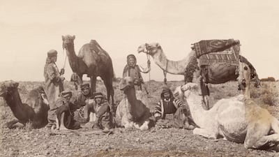 Bedouins would use animals to guide them with weather predictions. Photo: Bettmann Archive