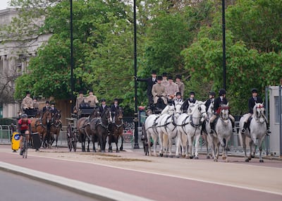 The royal Windsor Grey horses have been rehearsing for Saturday's coronation. PA