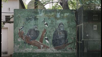 Lamya Gargash photographed the old Dubai Zoo when it shut its doors after 50 years in operation. Courtesy Warehouse421