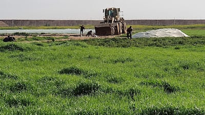 Men trying to collect a body as bulldozer approaches them, along the Gaza-Israel border east of Khan Yunis in the southern Gaza Strip. AFP