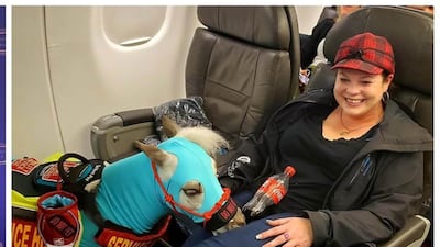 Ronica Froese with her 18-month-old miniature service horse, Fred, in February 2020. Reuters