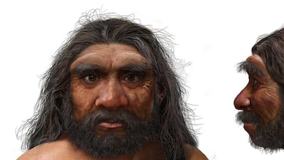 The discovery of a possible new early human in Israel coincided with the announcement that a skull discovered in north-east China represents a newly discovered human species that scientists have named Homo longi or "Dragon Man". AFP