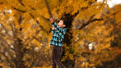 A six-year-old boy plays in front of yellow ginkgo leaves at a park in Tokyo, Japan. Issei Kato / Reuters