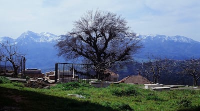 'Mariner of the Mountains' premiered at this year’s Cannes Film Festival. Cannes Film Festival