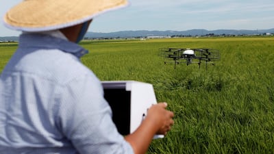 Nileworks' drone flies over rice plants during testing in Tome, Japan. Reuters