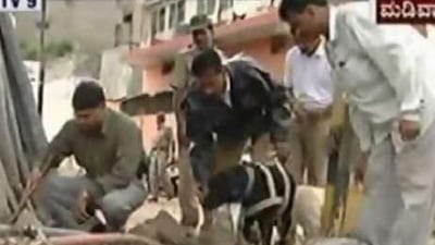 In this frame taken from television, Indian security officials use a sniffer dog to search debris at the site of an explosion in Bangalore on July 25.