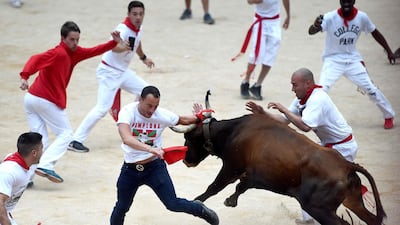 A reveller is tossed by a heifer. AFP