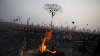 A tract of Amazon jungle burns in Boca do Acre, Amazonas state, Brazil. Reuters