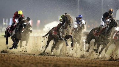 Runners in the Arabian Adventures race at the Meydan racecourse. Chris Whiteoak / The National