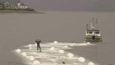 Terry Spragg stands on a giant waterbag, which is part of an experiment called Freshwater Delivery System.