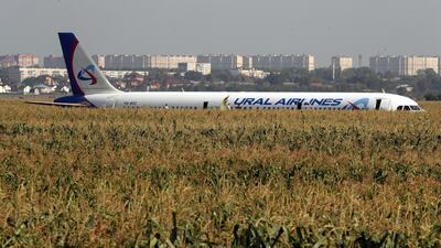 Ural Airlines A-321 passenger plane is seen on the site of its emergency landing in a field outside Zhukovsky airport in Ramensky district of Moscow region, Russia. A-321 with 226 passengers and seven crew members on board en-route from Moscow to Simferopol made emergency landing after a right engine failure following the plane's colliding with seagulls shortly after take-off. Ten people were hospitalized following the accident. EPA