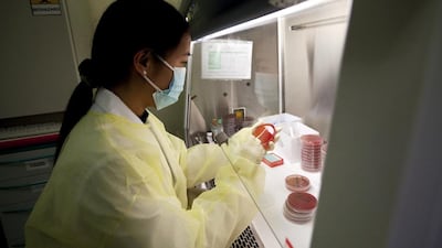 The merged Al Noor-Mediclinic group would operate 73 hospitals with about 10,200 beds and 35 clinics, and employ 32,000 people. Christopher Pike / The National