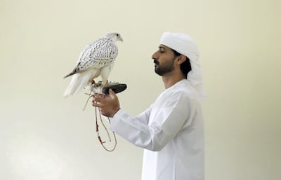 Mohammed Al Kamda with his falcon Dana at the hatching area at his farm in Al Awir in Dubai. Pawan Singh / The National