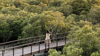 Jubail Mangrove Park is one of Abu Dhabi’s quieter natural spaces. Khushnum Bhandari / The National