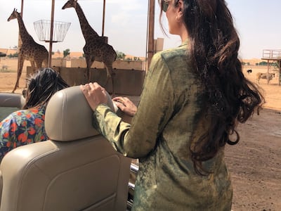 Giraffes on safari at Nofa Riyadh. Mariam Nihal for The National