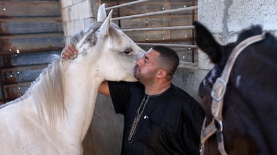 Three of Mr Shahin's four horses were wounded when an Israeli air strike hit his stables in Gaza. Reuters