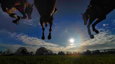 Runners and riders in the Thank You To The Cisswood Team Handicap Chase at Fontwell Park Racecourse in England on Tuesday December 8. PA